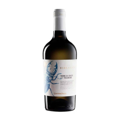 Vendita Pecorino Terre di Chieti IGP Organic Tollo