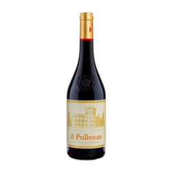 Vendita vino il Pollenza Rosso IGT delle Marche Il Pollenza