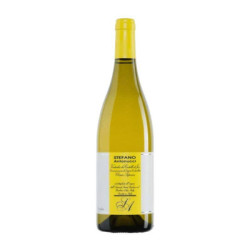 Venta Stefano Antonucci Verdicchio di Jesi DOC Classico Superiore Santa Bárbara