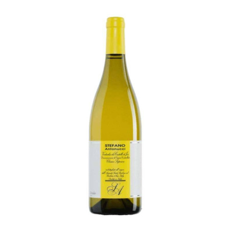 Venta Stefano Antonucci Verdicchio di Jesi DOC Classico Superiore Santa Bárbara