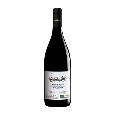 Tullum DOCG Feudo Antico Rojo