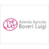 Boveri Luigi