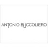 Antonio Buccoliero